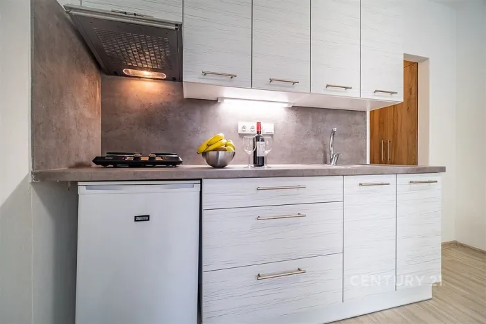 Pronájem bytu 1+kk, České Budějovice - České Budějovice 3, Plzeňská, 21 m2