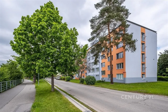 Pronájem bytu 1+kk, České Budějovice - České Budějovice 3, Plzeňská, 21 m2