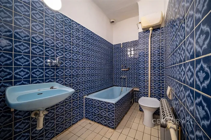 Prodej rodinného domu, České Budějovice - České Budějovice 5, Reinerova, 240 m2