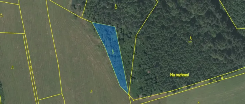 Prodej lesa, Čepřovice, 1644 m2