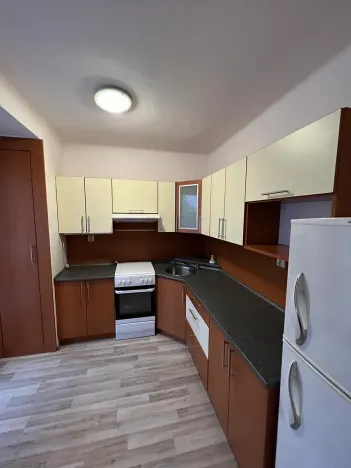 Pronájem bytu 2+1, Ostrava, Ahepjukova, 55 m2