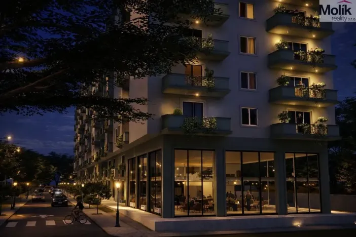 Prodej bytu 2+kk, Golem, 68 m2