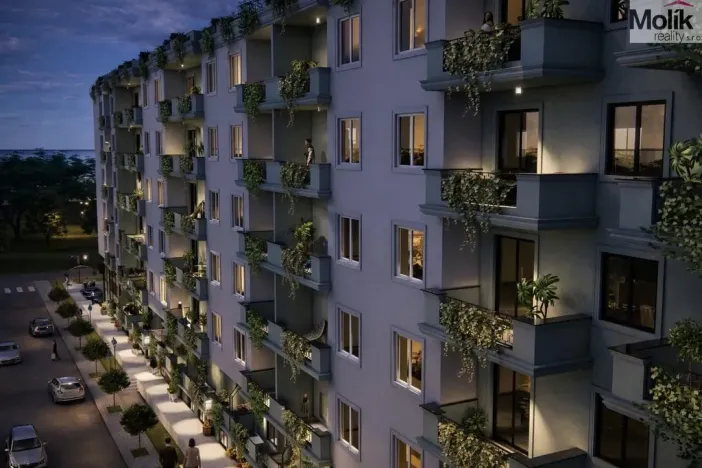 Prodej bytu 2+kk, Golem, 68 m2