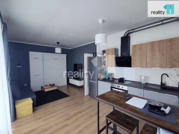 Pronájem bytu 1+kk, Plzeň - Valcha, K Zelené louce, 30 m2