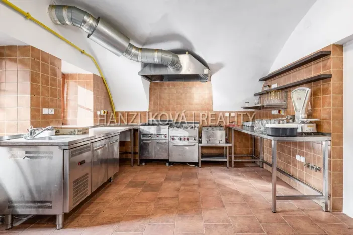 Prodej vícegeneračního domu, Chlum u Třeboně, Hejtmanská hráz, 1253 m2