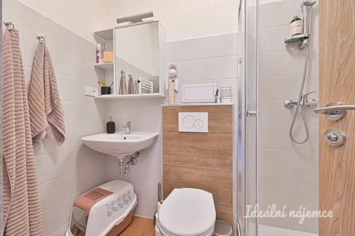 Pronájem bytu 2+kk, Brno, Vlhká, 51 m2