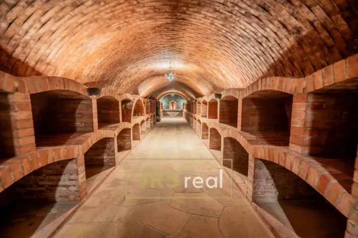 Prodej - jiné, Čejkovice, 468 m2