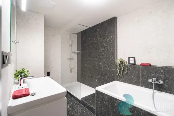 Pronájem bytu 3+kk, České Budějovice - České Budějovice 3, 88 m2