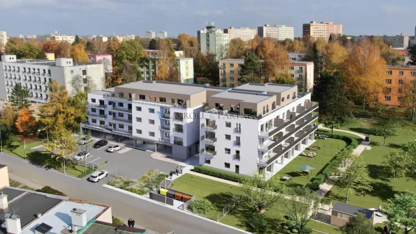 Prodej bytu 2+kk, Ostrava - Zábřeh, Petruškova, 45 m2