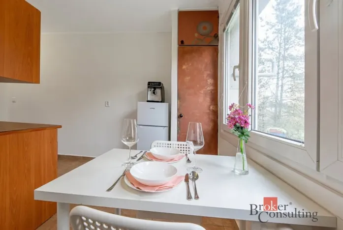 Prodej bytu 1+1, Plzeň, Smrková, 42 m2