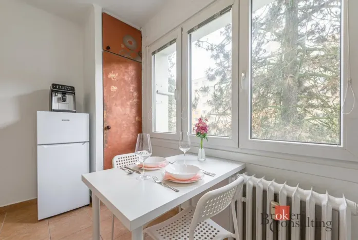 Prodej bytu 1+1, Plzeň, Smrková, 42 m2