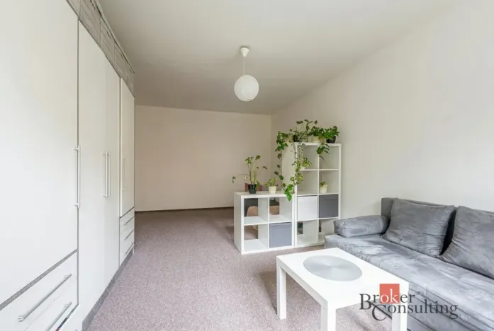 Prodej bytu 1+1, Plzeň, Smrková, 42 m2