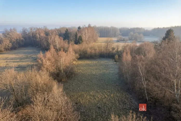 Prodej pozemku pro bydlení, Strašín, 3363 m2