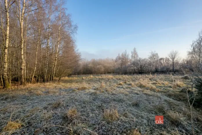 Prodej pozemku pro bydlení, Strašín, 3363 m2