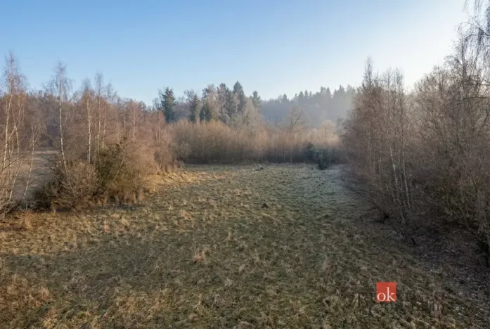 Prodej pozemku pro bydlení, Strašín, 3363 m2