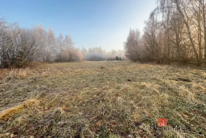 Prodej pozemku pro bydlení, Strašín, 3363 m2