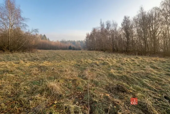 Prodej pozemku pro bydlení, Strašín, 3363 m2