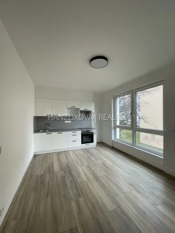 Pronájem bytu 2+kk, České Budějovice, Hálkova, 40 m2