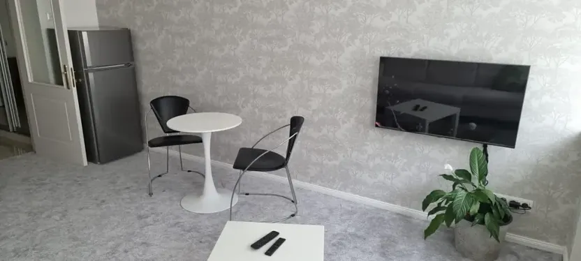 Pronájem bytu 1+kk, Praha - Vinohrady, Záhřebská, 30 m2