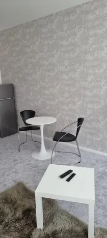 Pronájem bytu 1+kk, Praha - Vinohrady, Záhřebská, 30 m2