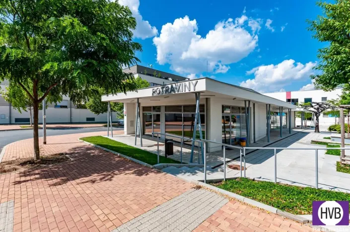 Pronájem bytu 4+kk, Praha, K Beranovu, 227 m2