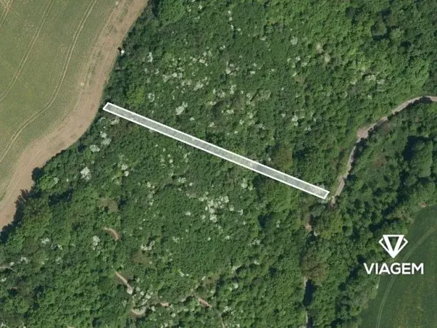 Prodej lesa, Březolupy, 1255 m2