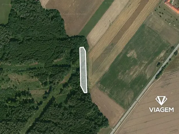 Prodej lesa, Dolní Třebonín, 2158 m2