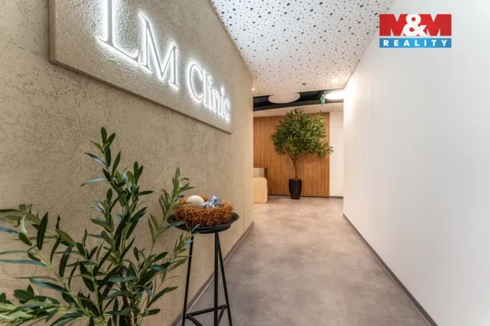 Pronájem komerční nemovitosti, Praha, Jihlavská, 30 m2