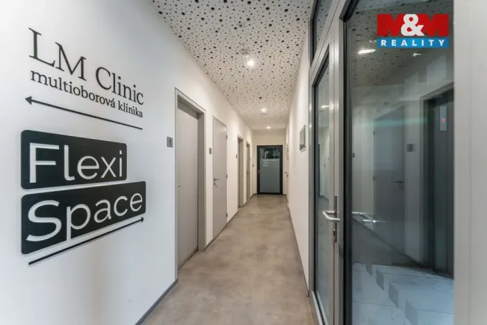 Pronájem komerční nemovitosti, Praha, Jihlavská, 30 m2