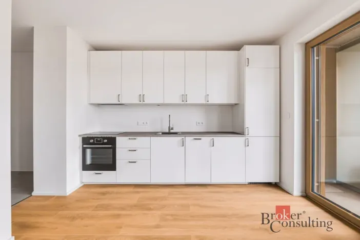 Pronájem bytu 1+kk, Plzeň - Východní Předměstí, Zahradní, 42 m2