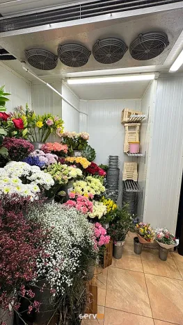 Pronájem obchodního prostoru, Brno, Kobližná, 26 m2