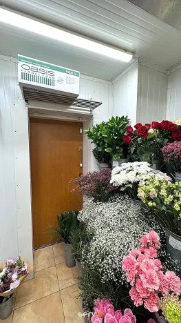 Pronájem obchodního prostoru, Brno, Kobližná, 26 m2