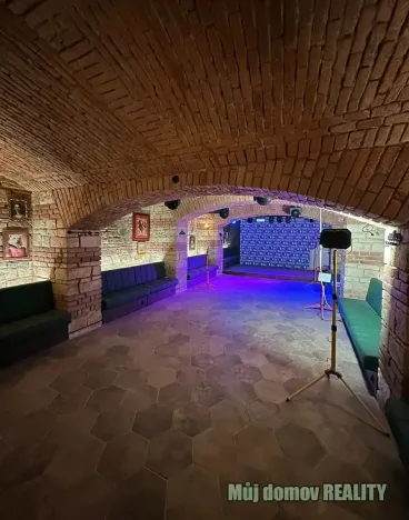 Pronájem restaurace, Praha - Nové Město, Ječná, 209 m2