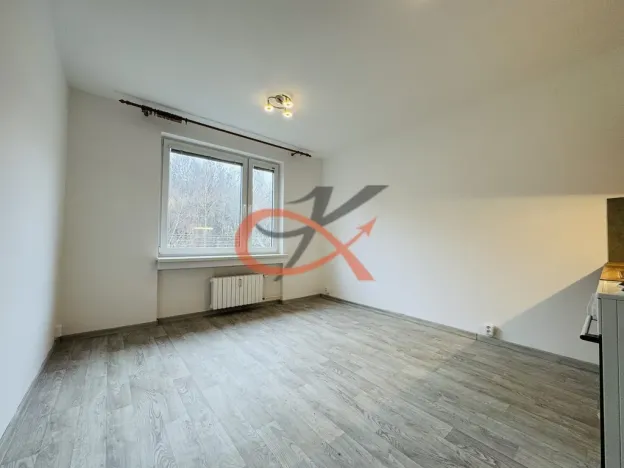 Pronájem bytu 1+kk, Rožnov pod Radhoštěm, Lesní, 21 m2