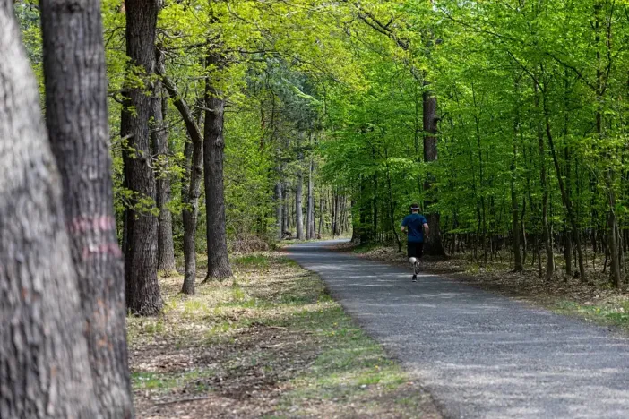 Pronájem kanceláře, Praha - Chodov, Tomíčkova, 1500 m2