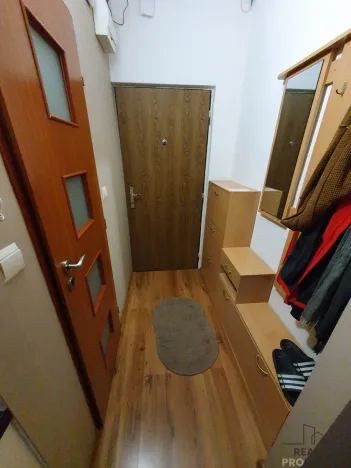 Pronájem bytu 1+1, Ústí nad Labem, Švestková, 38 m2