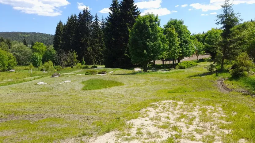 Prodej pozemku pro bydlení, Bedřichov, 2313 m2