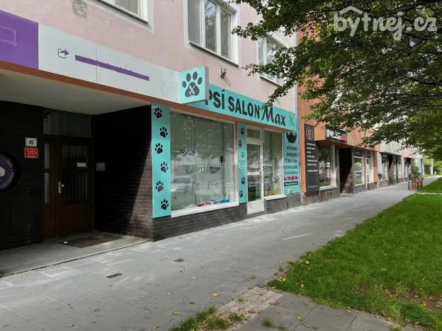 Pronájem bytu 2+kk, Olomouc, 41 m2