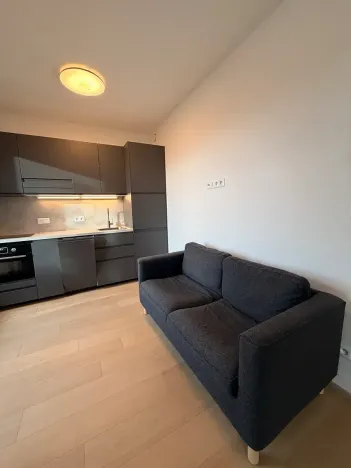 Pronájem bytu 1+kk, Praha - Strašnice, Michelangelova, 37 m2