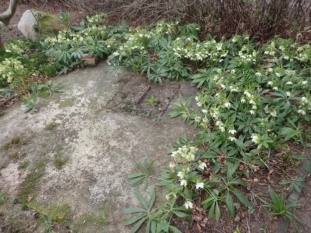 Prodej chaty, Osečná, Zahradní, 50 m2