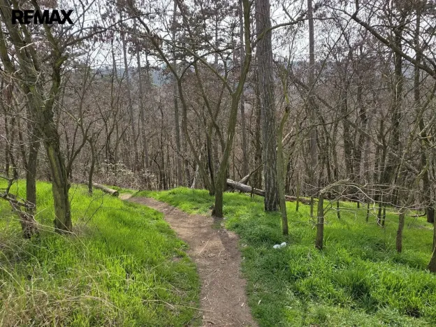 Prodej bytu 3+kk, Praha - Modřany, Levského, 62 m2