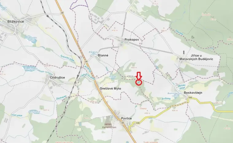 Prodej podílu lesa, Boskovštejn, 1959 m2