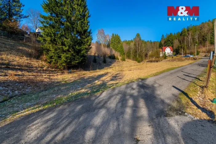 Prodej louky, Janov nad Nisou - Loučná nad Nisou, 6847 m2