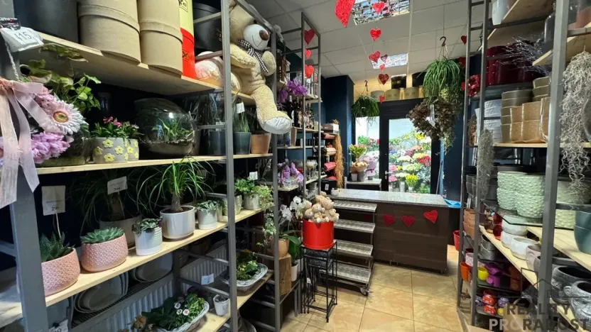 Pronájem obchodního prostoru, Brno - Brno-město, 26 m2