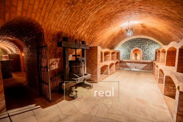 Prodej rodinného domu, Čejkovice, 468 m2