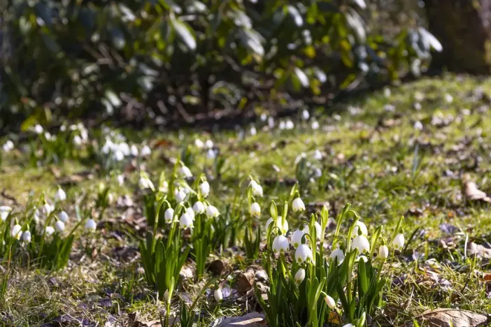 Prodej chaty, Stříbrná Skalice - Hradec, 50 m2