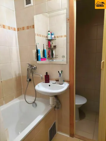 Pronájem bytu 1+1, Olomouc, Hraniční, 31 m2