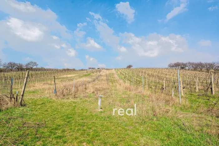 Prodej - jiné, Bořetice, 90 m2