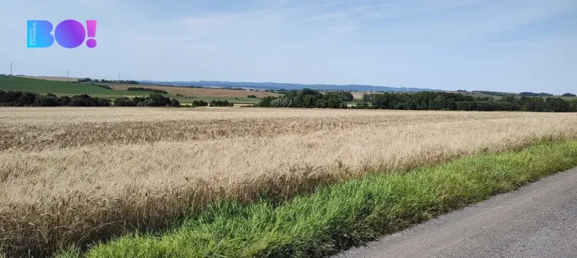 Prodej pozemku pro bydlení, Beňov, 5182 m2