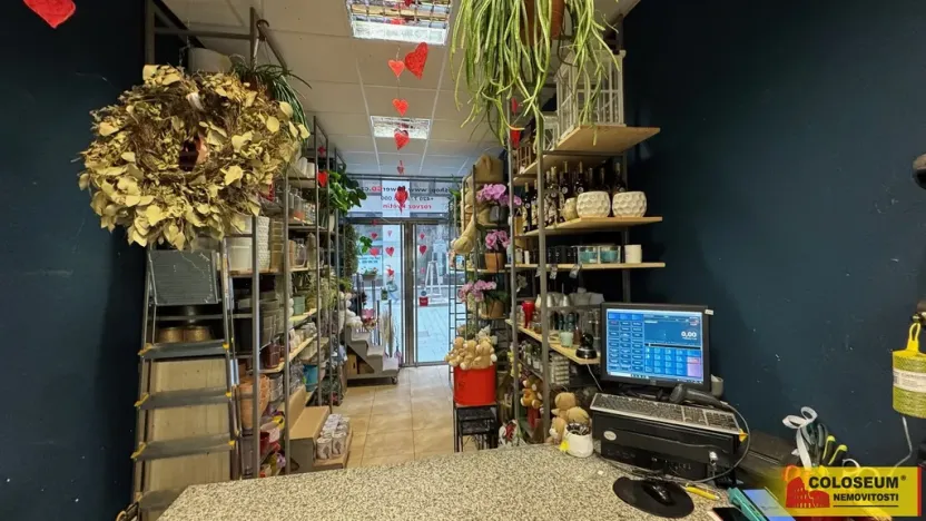 Pronájem obchodního prostoru, Brno - Brno-město, 26 m2